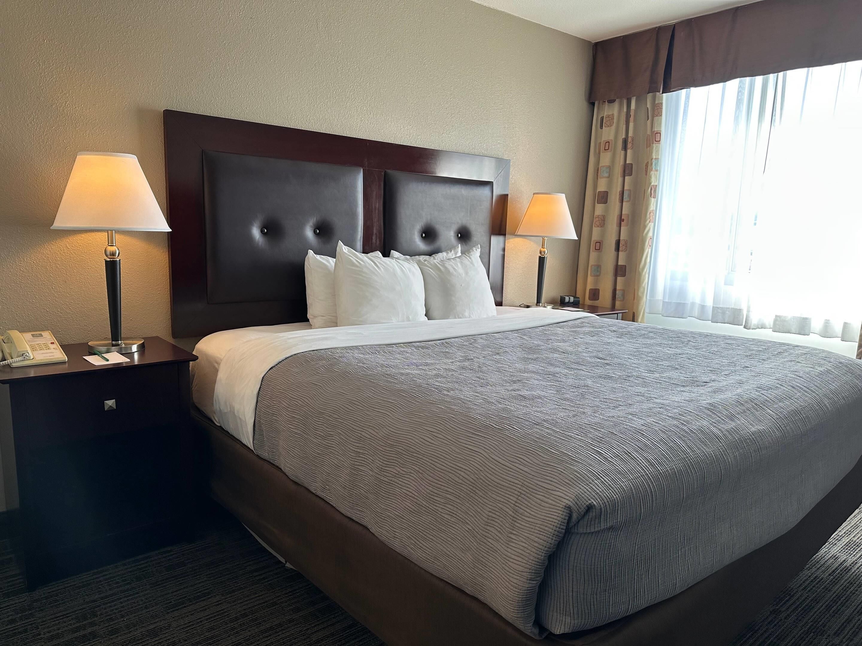 Suite, 1 cama King size y sofá cama, para no fumadores | Camas con pillow-top, escritorio y espacio para trabajar con laptop 