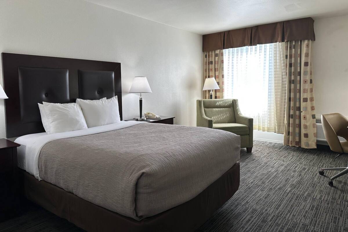 A hotel room with a large bed, a nightstand, a lamp, a chair, and a window with curtains.
