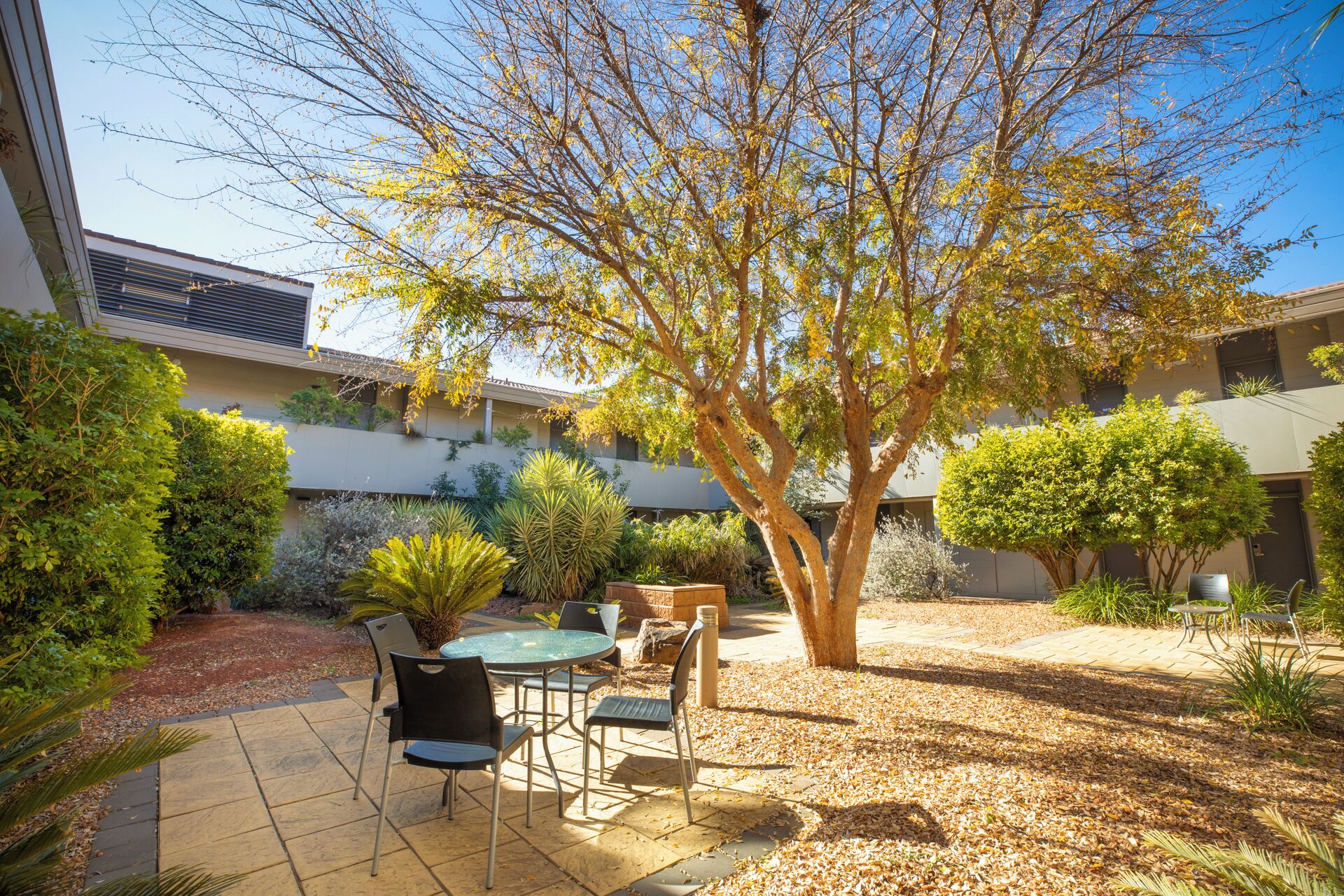 A courtyard with a dining area, a large tree, and various plants.
