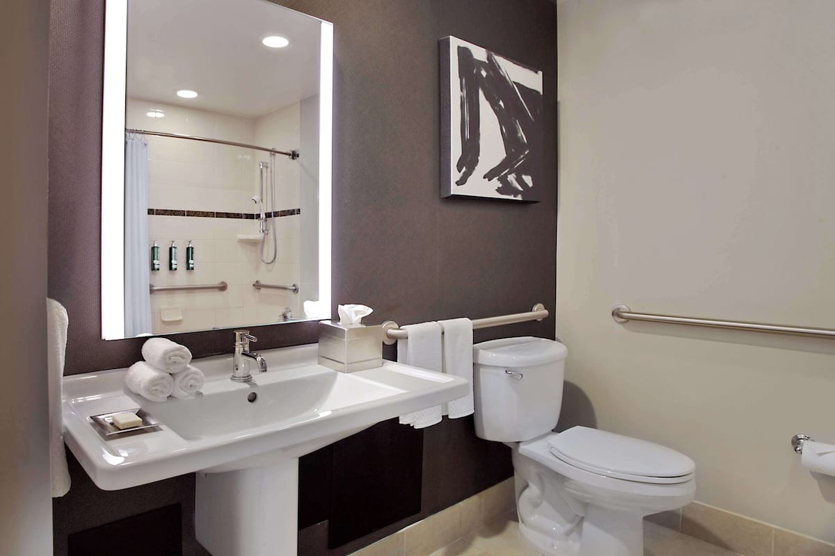 designer toiletries, hair dryer, towels, soap