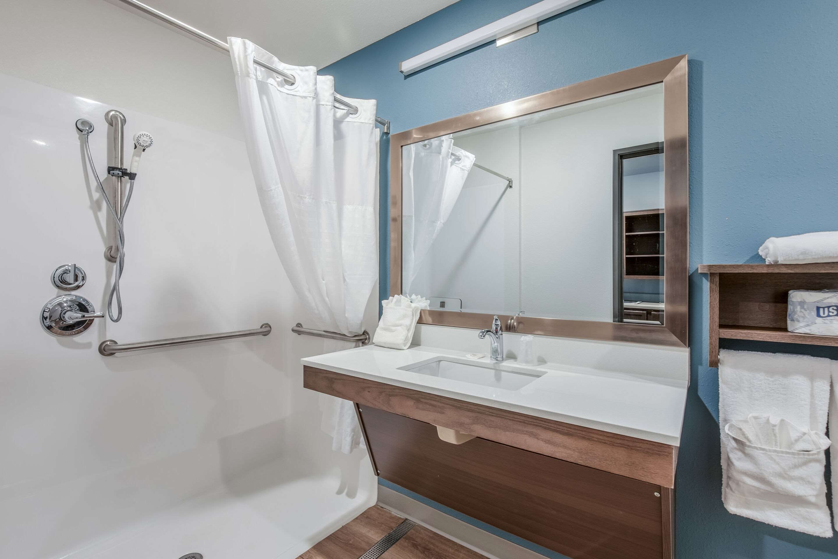 room, 1 queen bed, accessible, non smoking (roll-in shower) | bathroom | hair dryer, towels, soap, shampoo