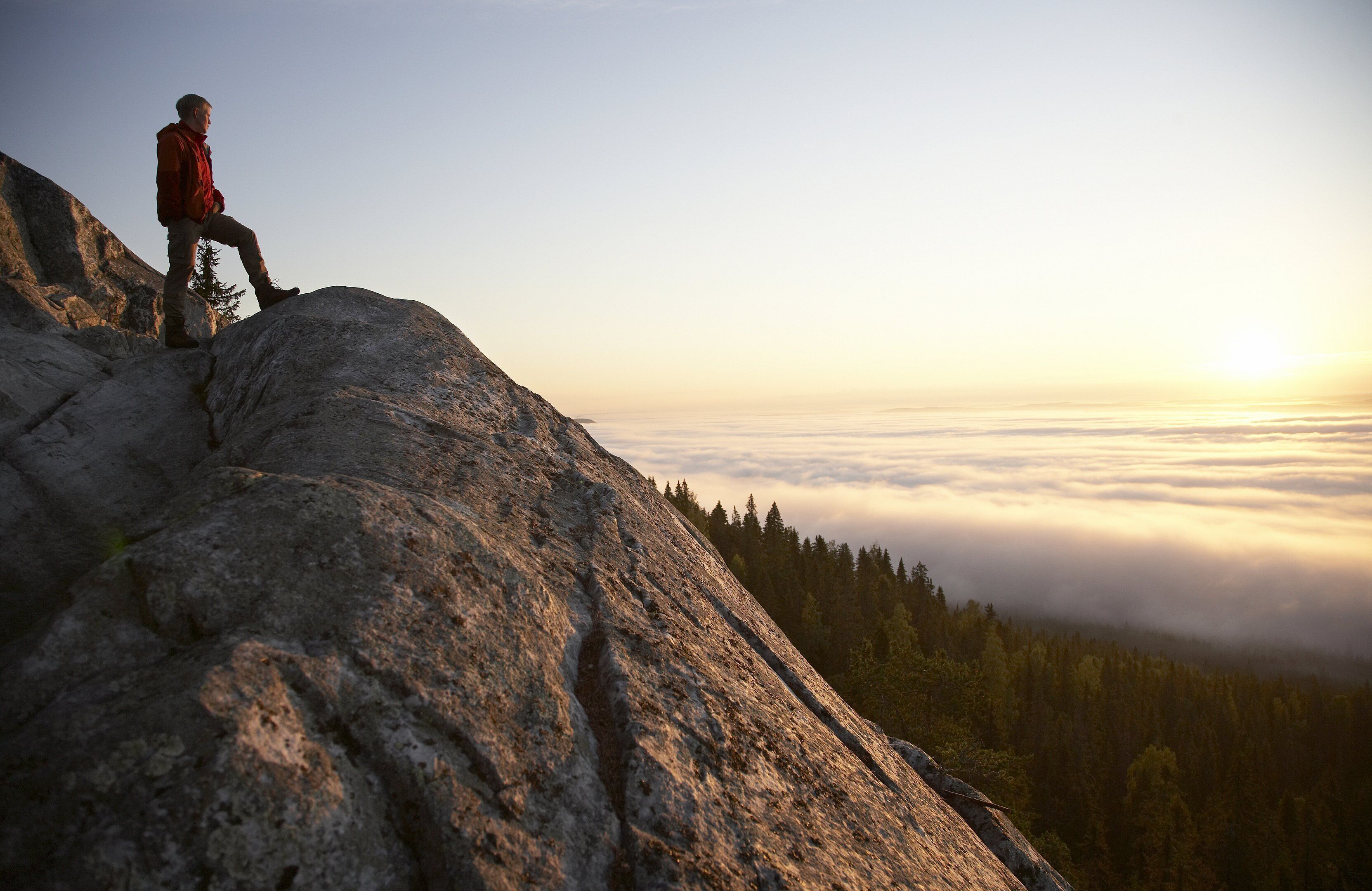 land view from property