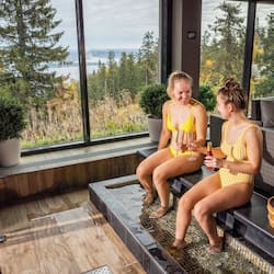 Sauna, tina de hidromasaje, baño de vapor y tratamientos corporales