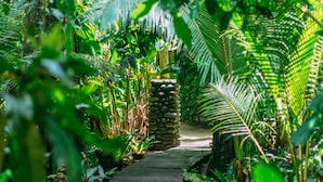Unclassified image, 2 of 126, button - Qamea Resort and Spa Fiji (Qamea Island)