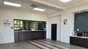 Una zona reception con un bancone, uno specchio grande, un tappeto decorato e una parete con un motivo geometrico.