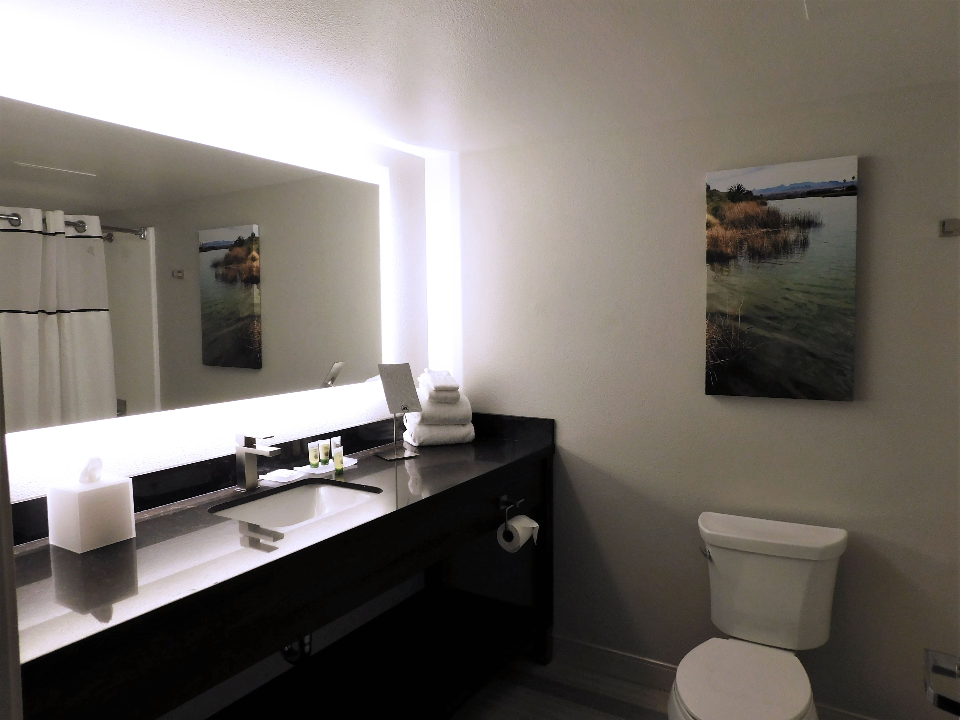 A modern bathroom with a large mirror, a sink, a toilet, and a painting on the wall.
