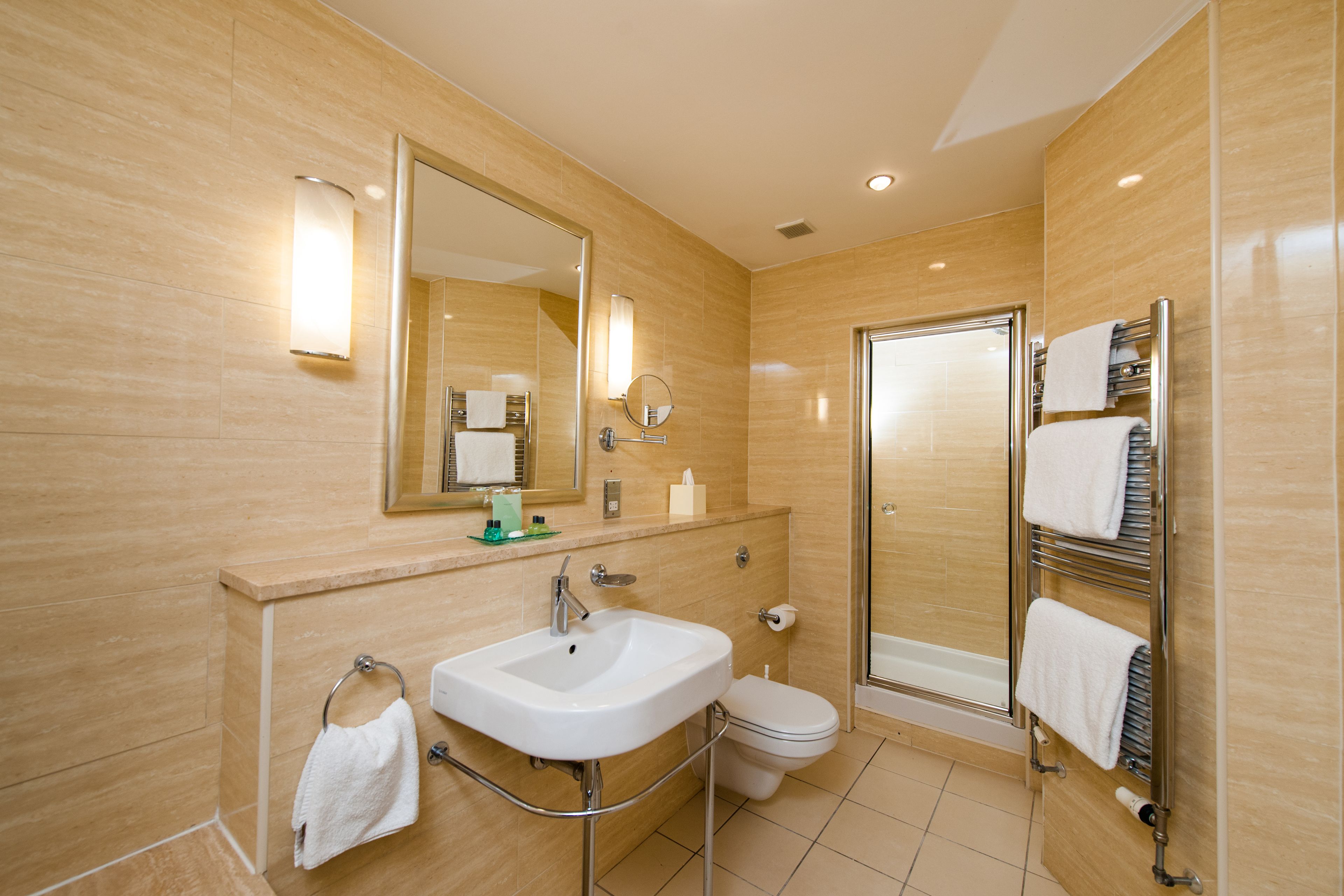 combined shower/bathtub, free toiletries, hair dryer, towels