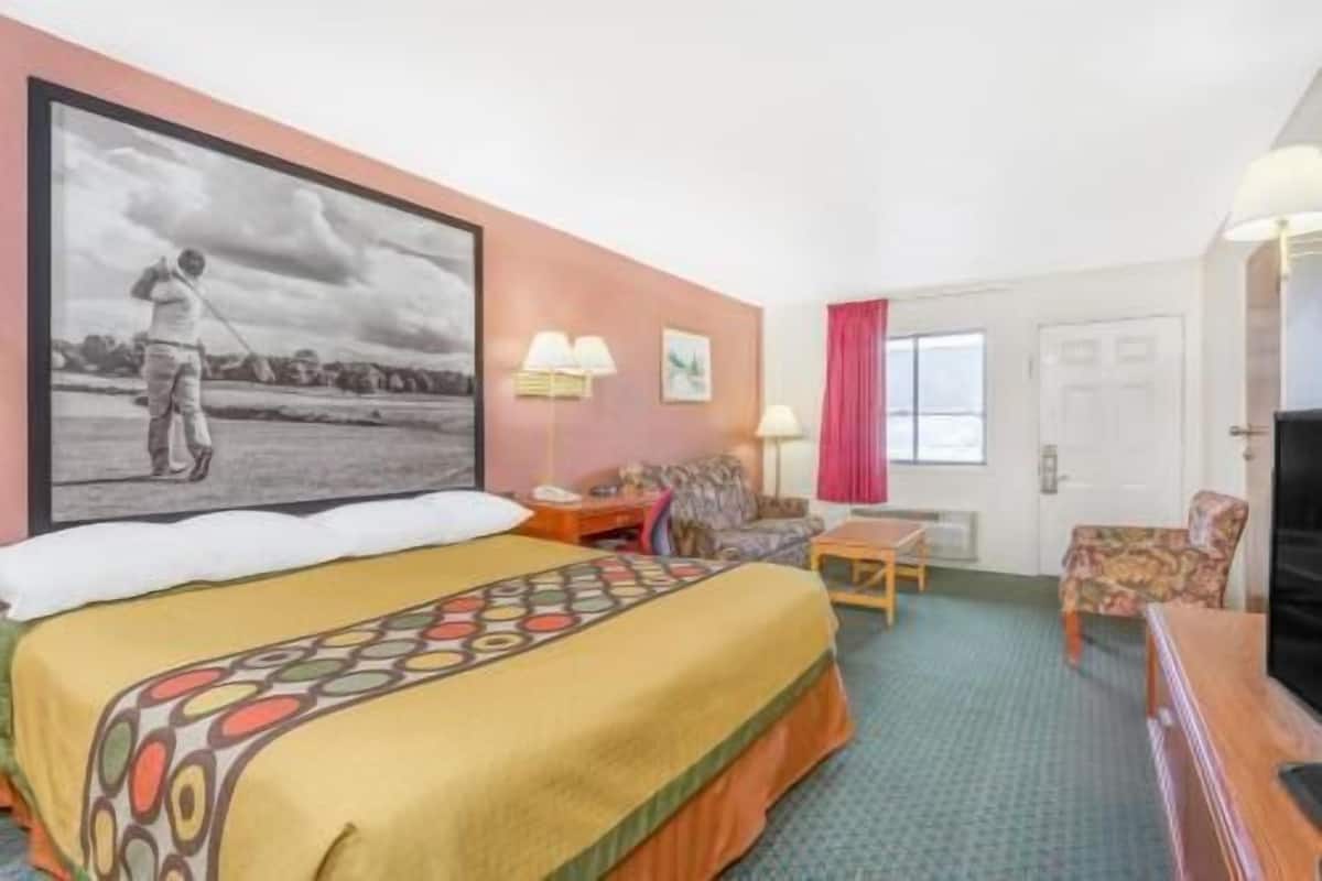 Une chambre d’hôtel avec un lit, un canapé, un bureau, une télévision et un tableau au mur.