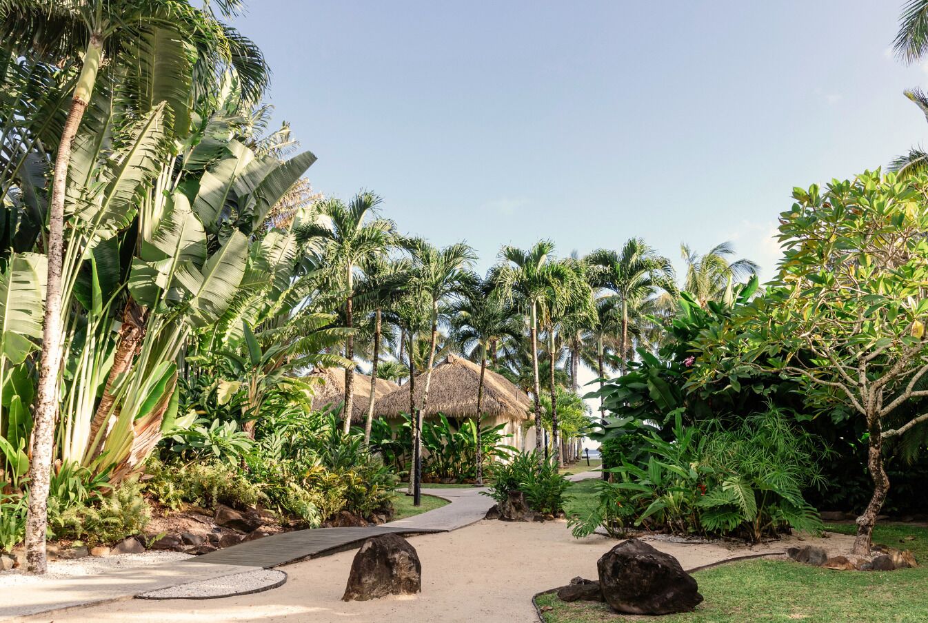 A tropical resort pathway with palm trees, a thatched-roof building, and a paved walkway.