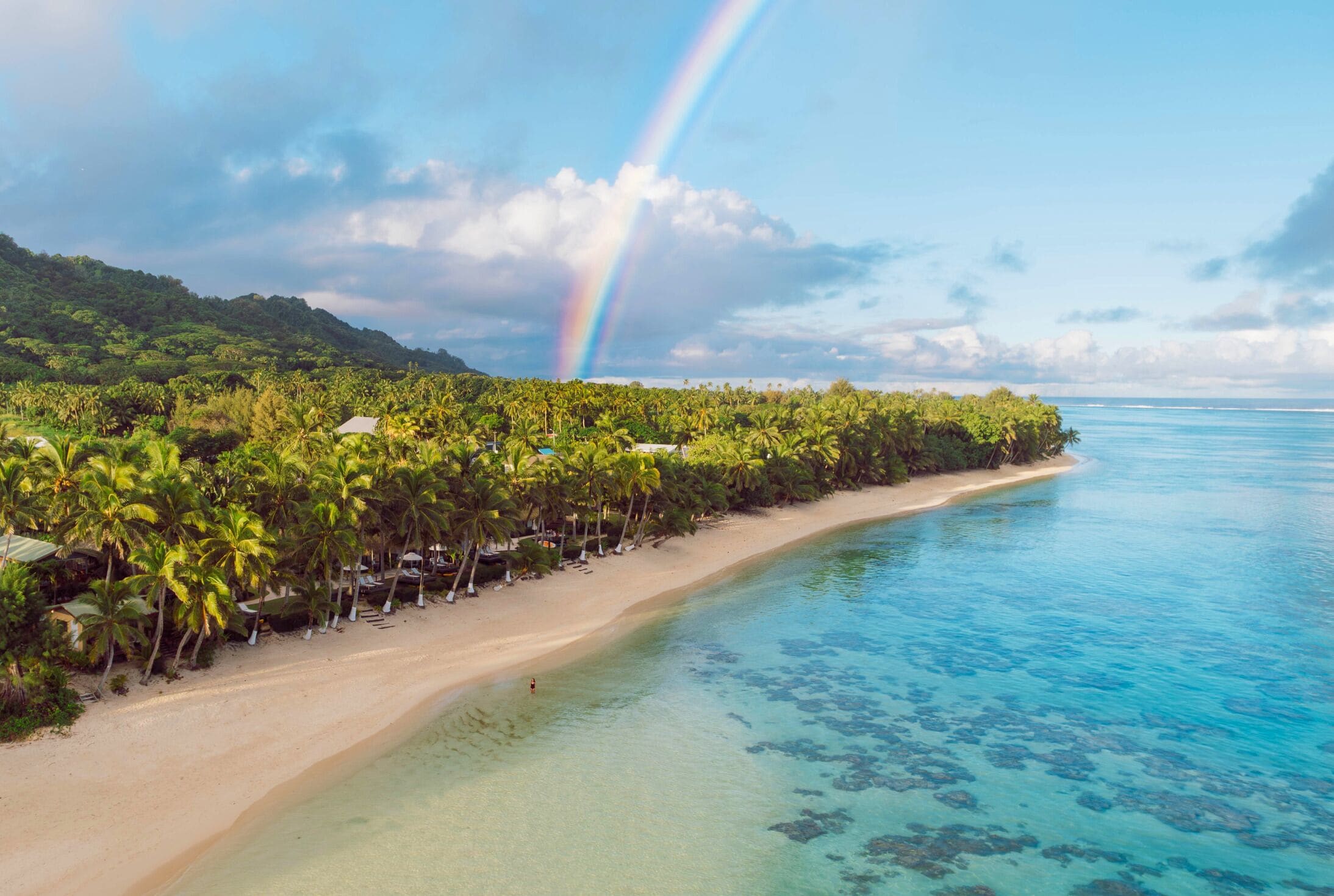 A beach with clear water, palm trees, and a rainbow.