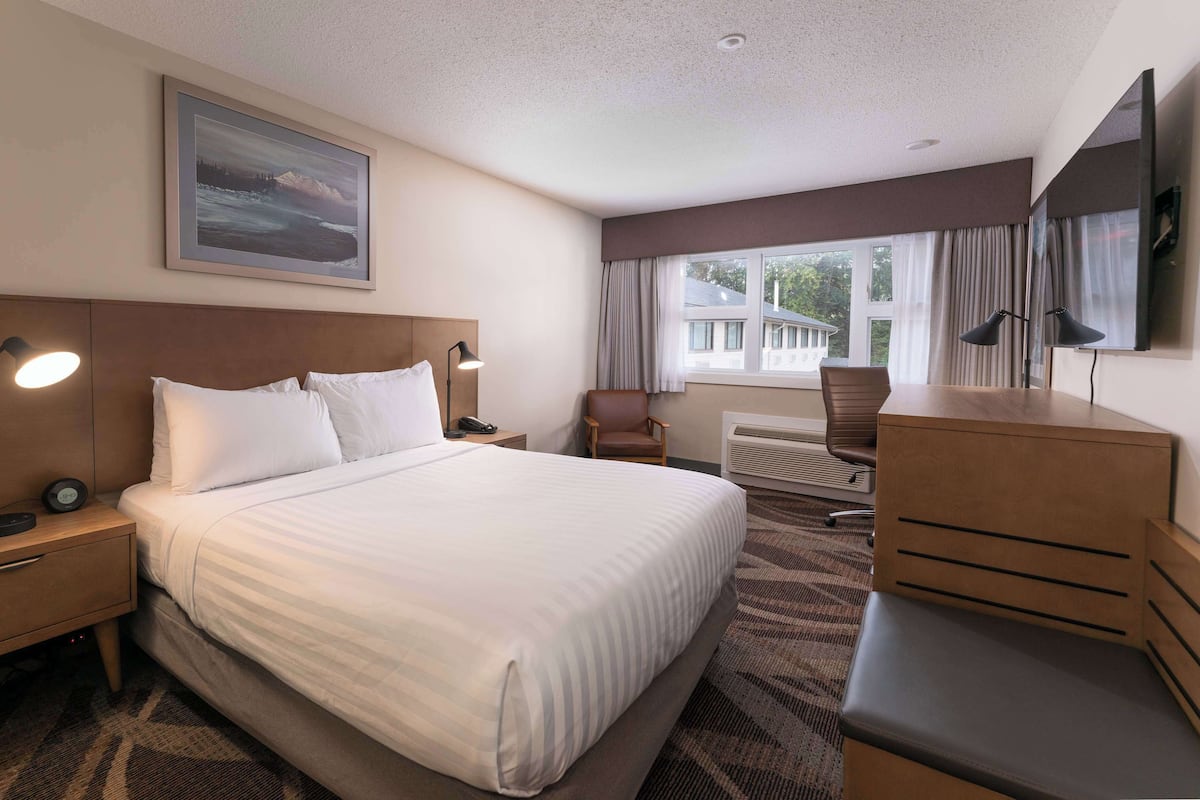 A hotel room with a large bed, a desk, a chair, a TV, and a painting on the wall.