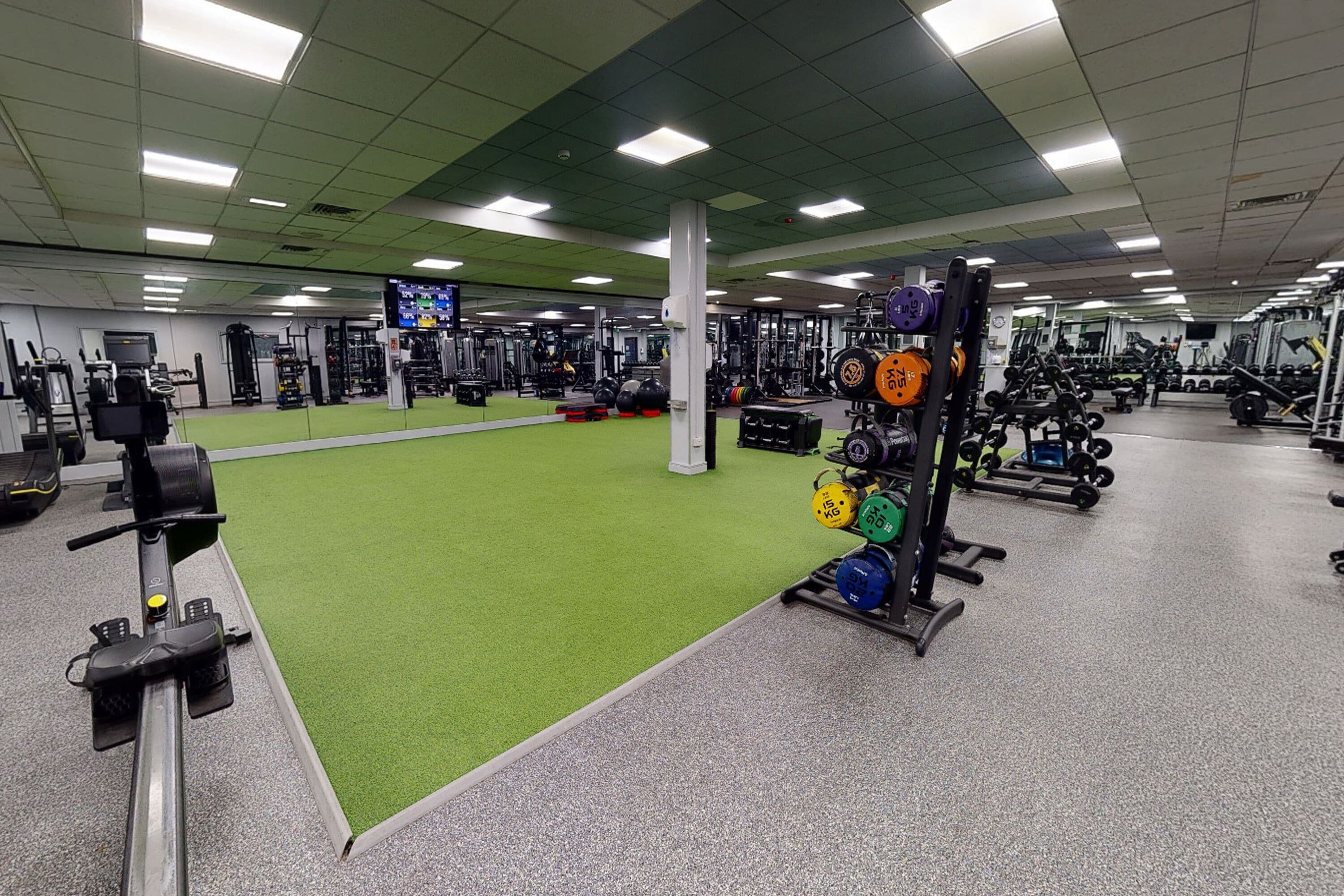 Un gimnasio con césped artificial verde, equipo de levantamiento de pesas y diversas máquinas de ejercicio.