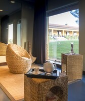 Hot tub, Turkish bath, body treatments, facials, massage/treatment rooms