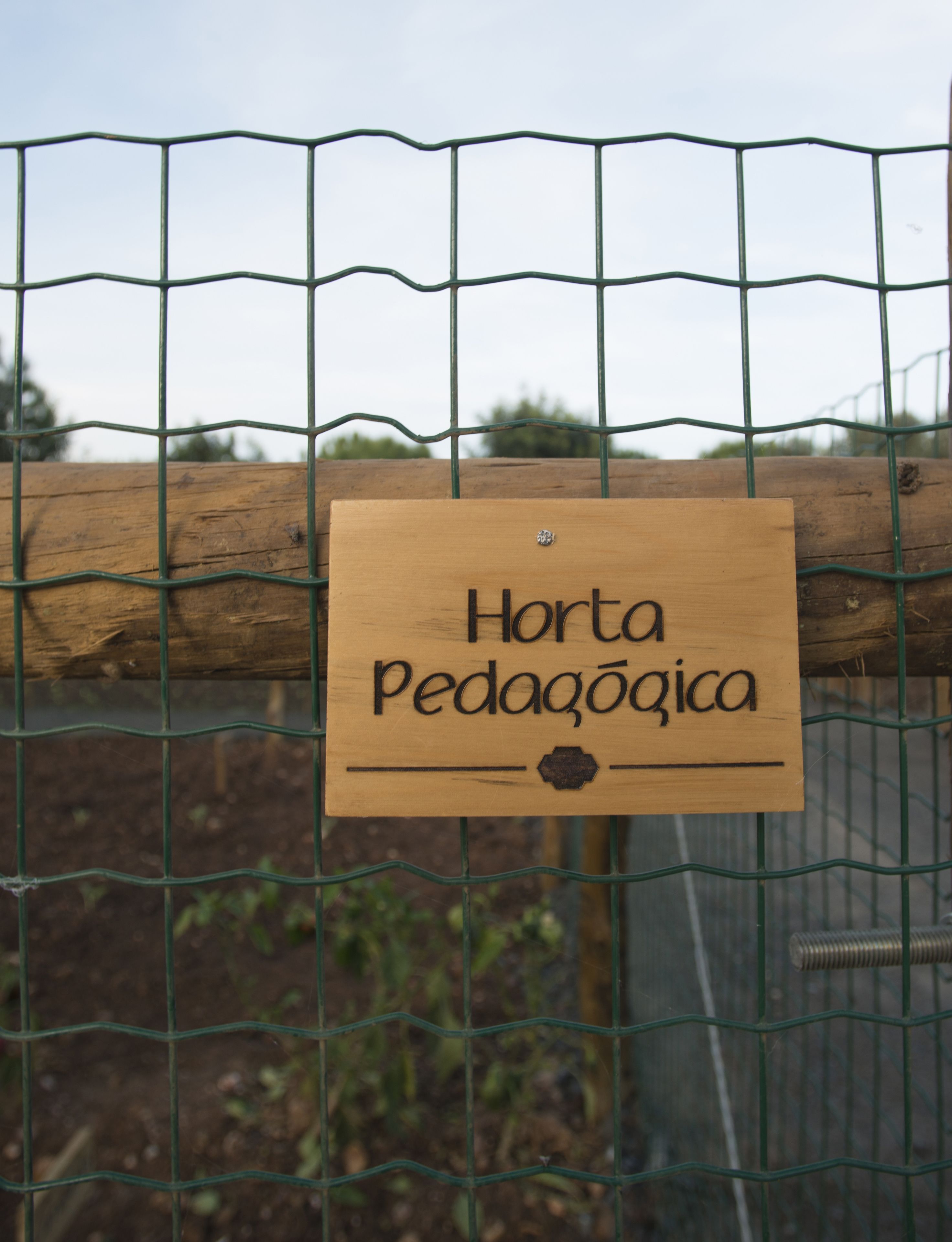 children’s activities