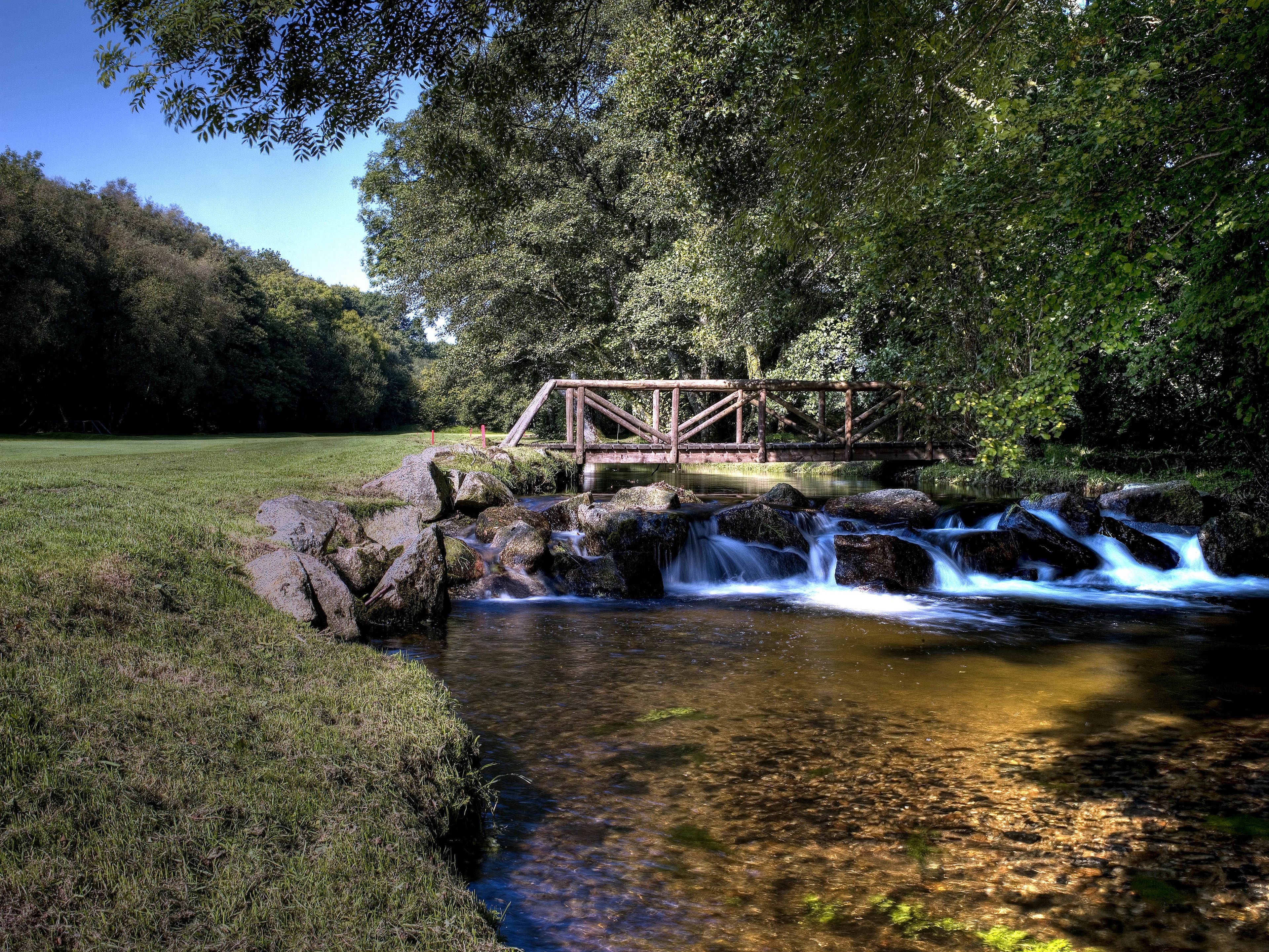 Un pont en bois enjambe un ruisseau aux eaux claires, parsemé de rochers, et est entouré d’une végétation luxuriante ainsi que d’un champ herbeux.