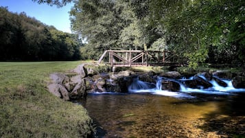 A wooden bridge over a clear stream with rocks, surrounded by lush greenery and a grassy field.