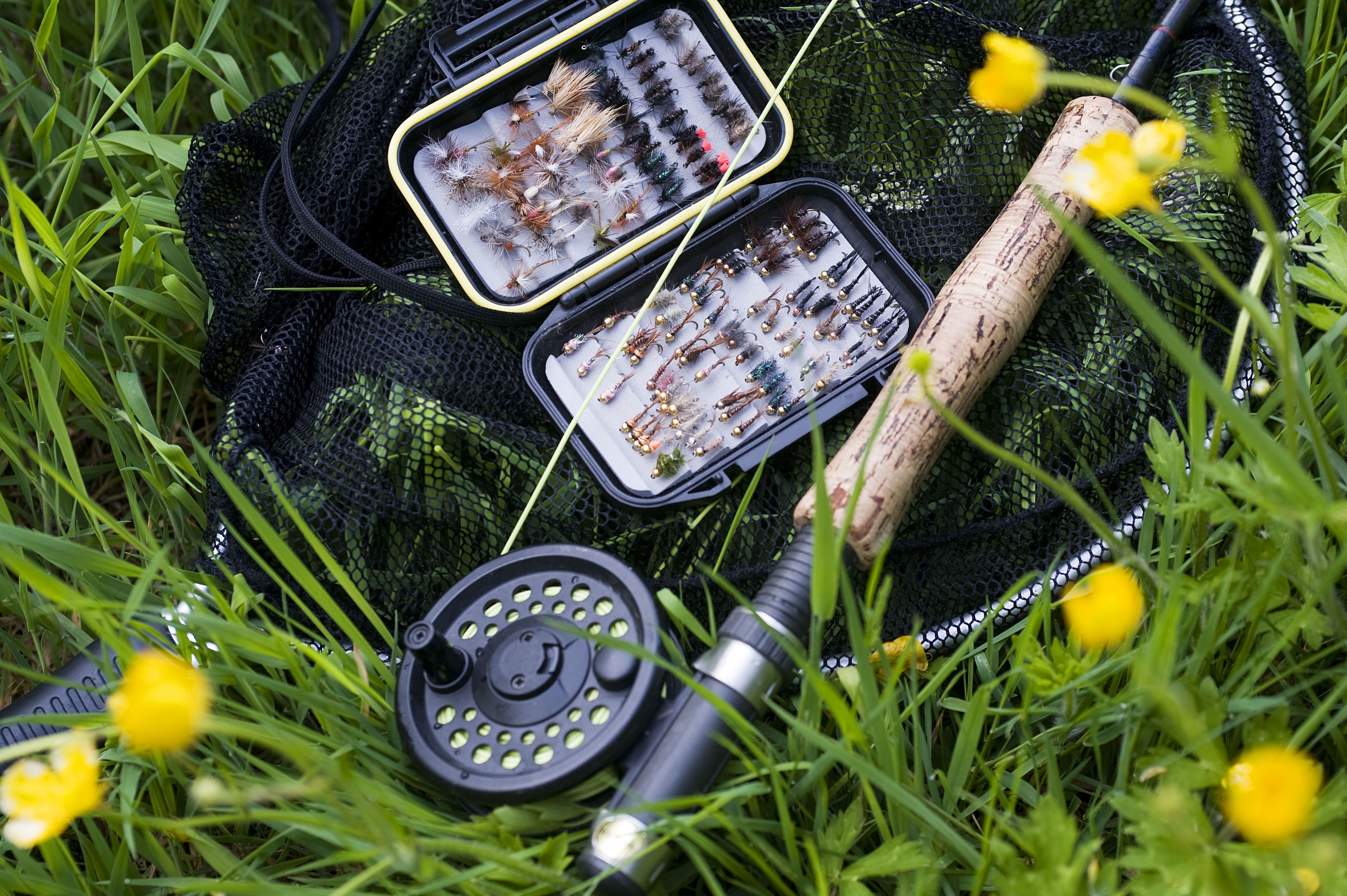 Angelzubehör, darunter ein Netz, eine Fliegenbox und eine Fliegenrolle, auf Gras mit gelben Blumen ausgebreitet.