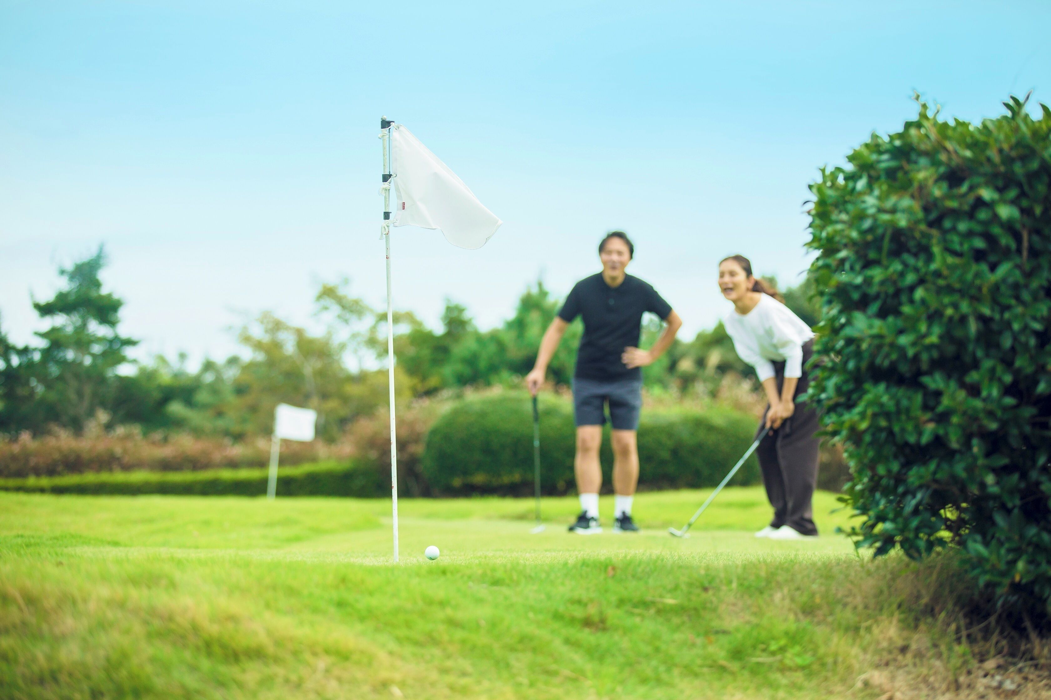 Mini-golf