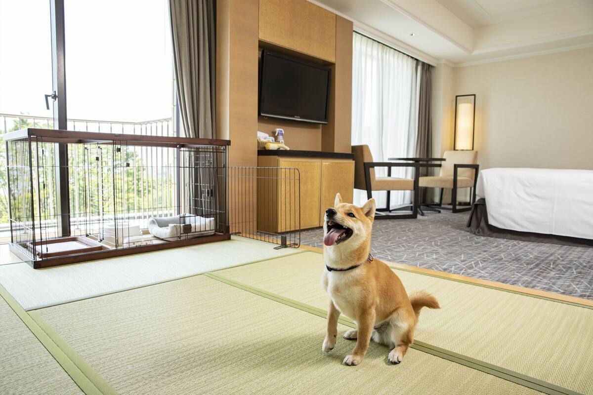 A hotel room with tatami mats, a bed, a desk, a chair, a television, and a balcony with a view of greenery.