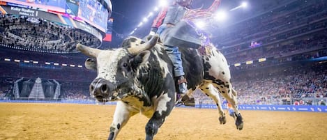 A rodeo event with a bull and a rider in mid-air.
