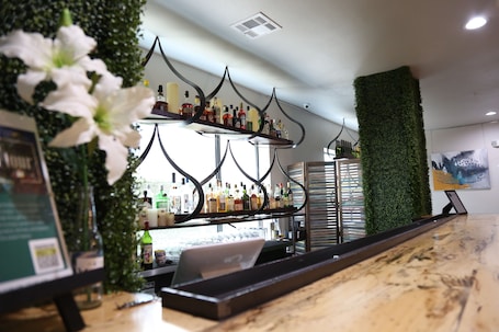 Bar (en la propiedad)