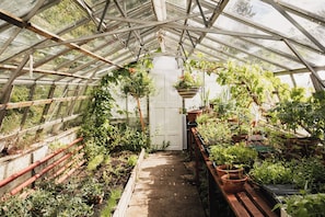 Taman