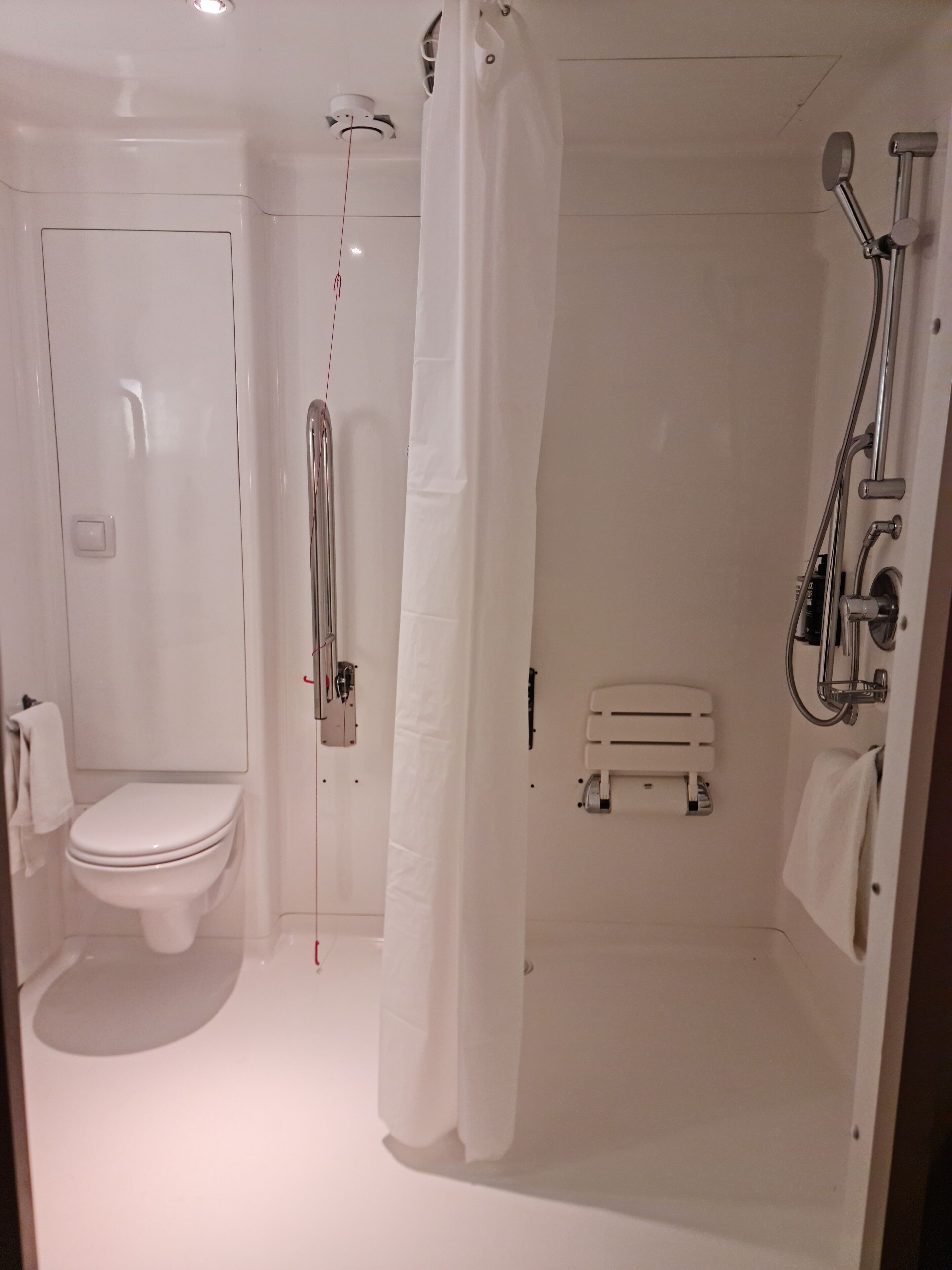 Une salle de bain comprenant des toilettes, une douche avec une porte en verre et un porte-serviettes.