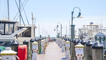A marina with rows of moored boats and a walkway lined with bollards and street lamps.