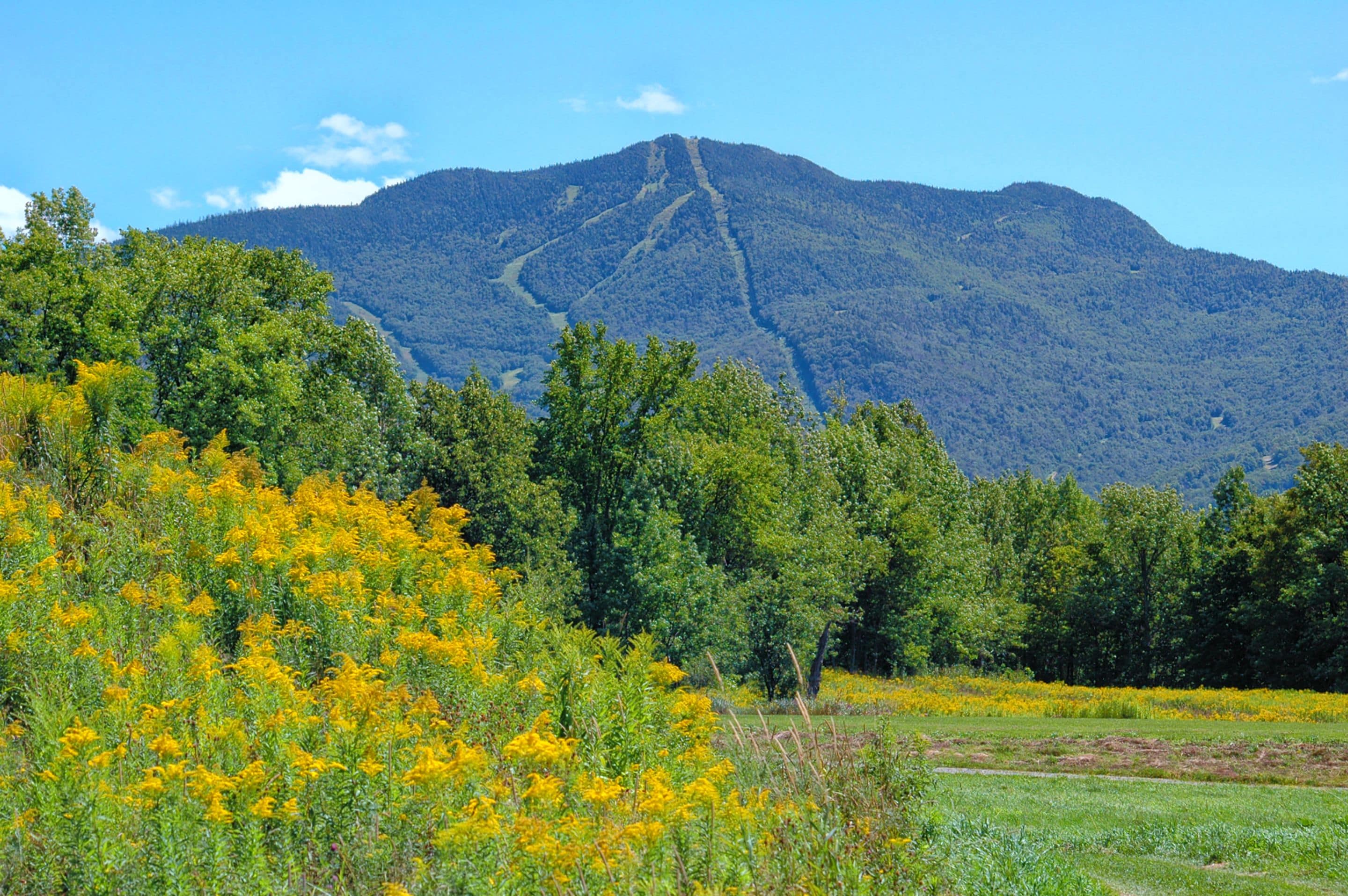 A mountain with a clear sky.