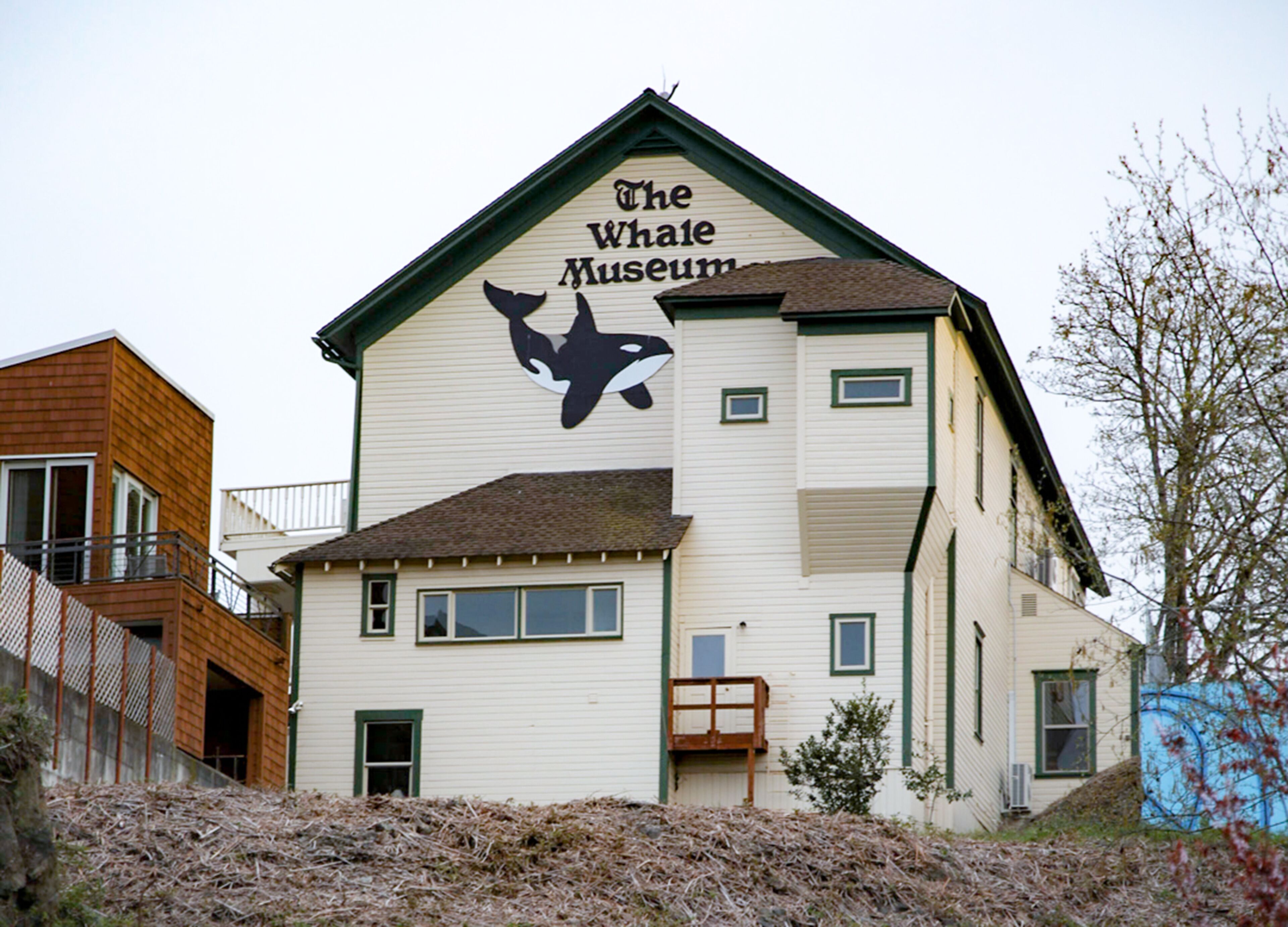 Foto - Earthbox Inn & Spa