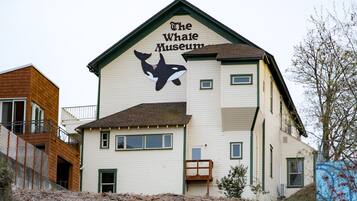 En bygning med et hvalmaleri og teksten "The Whale Museum" på facaden.
