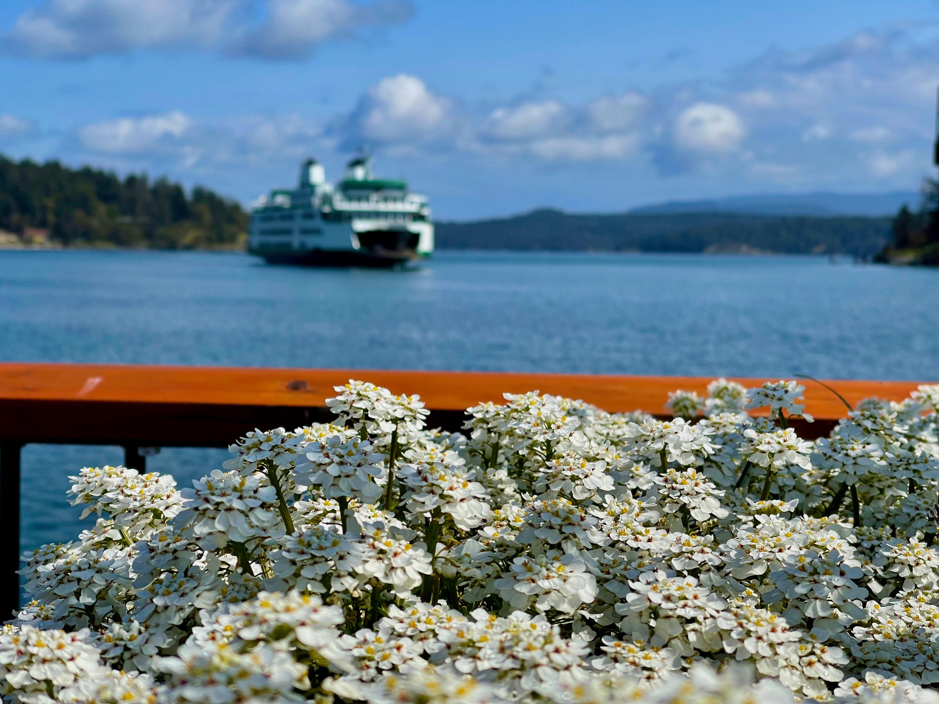 Foto - Earthbox Inn & Spa