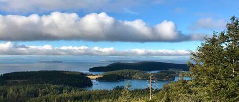 A panoramic view of a forested landscape with a lake and distant mountains.