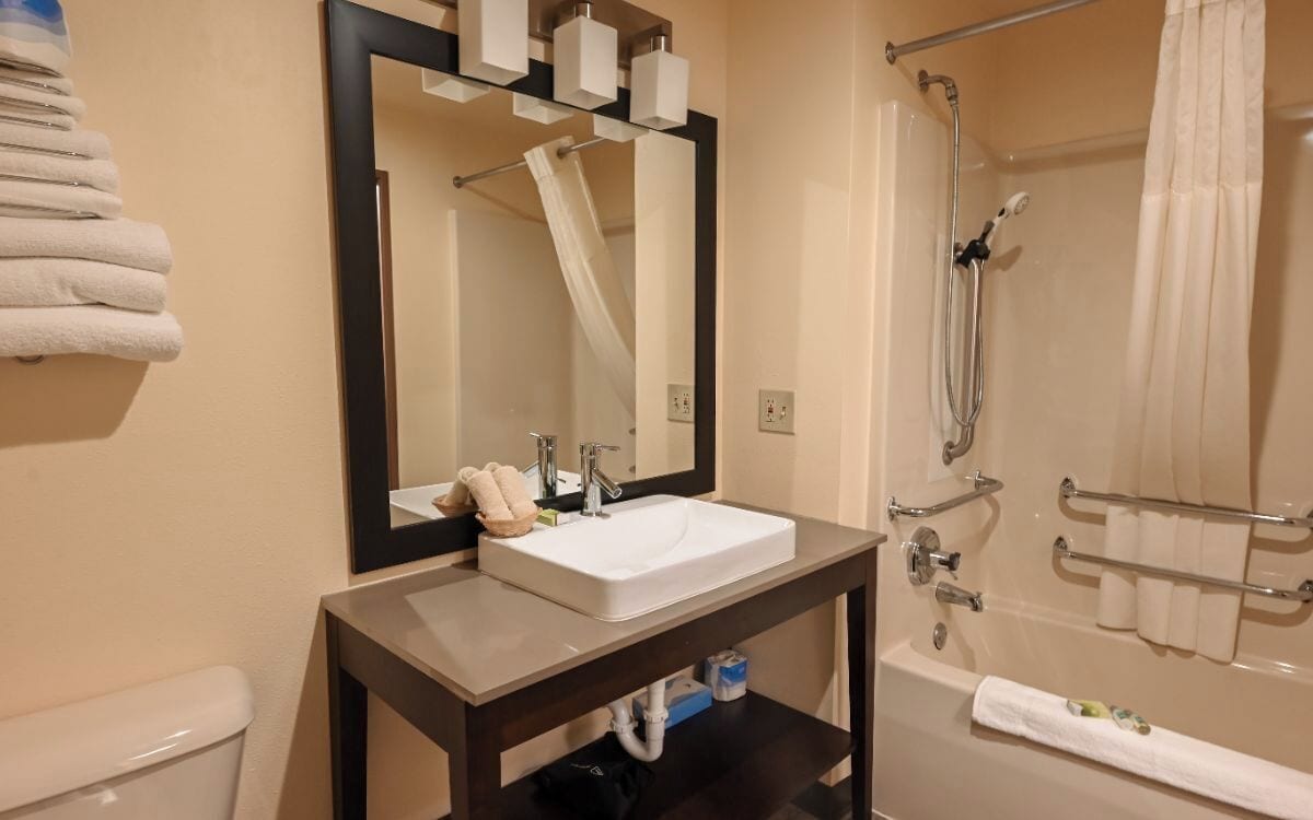 combined shower/bathtub, free toiletries, hair dryer, towels