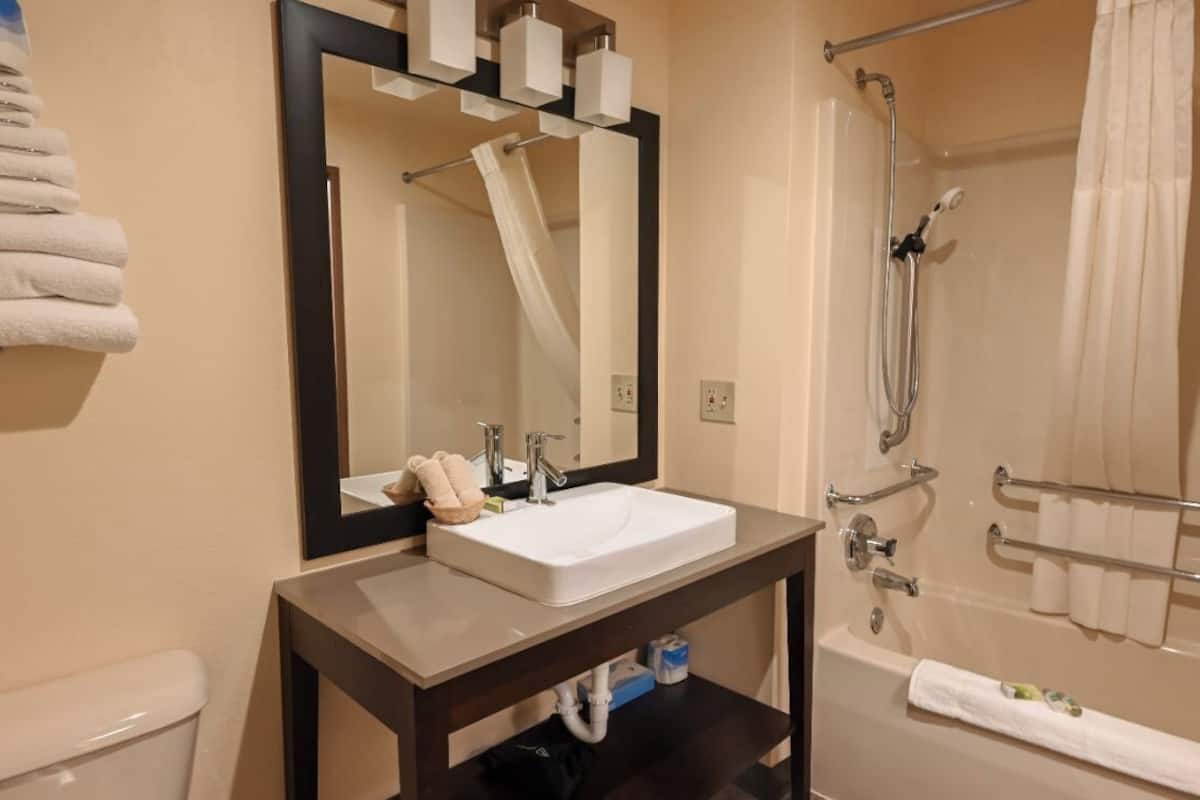 combined shower/bathtub, free toiletries, hair dryer, towels