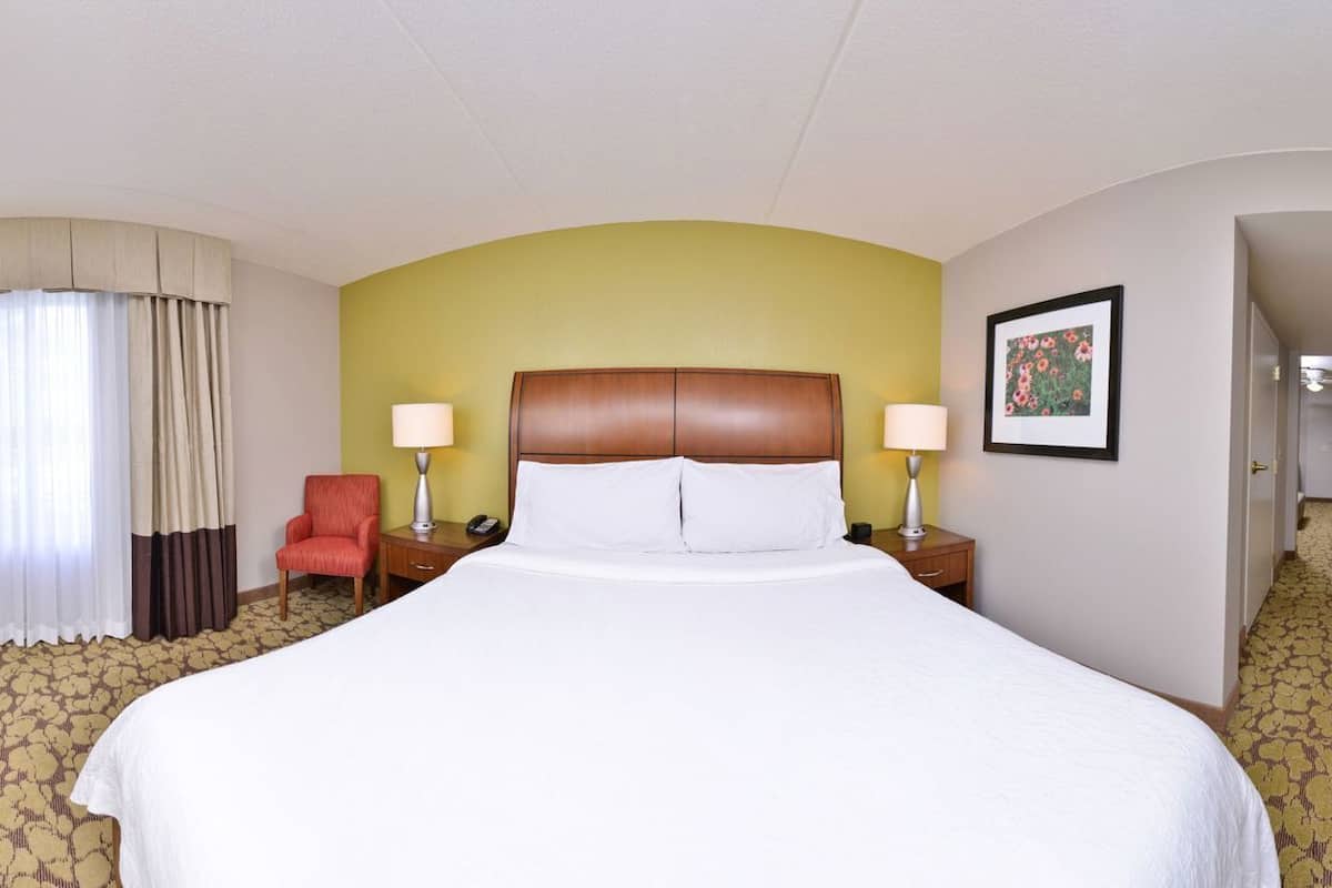 A hotel room with a large bed, a television, a desk with a lamp, a chair, and a picture on the wall.