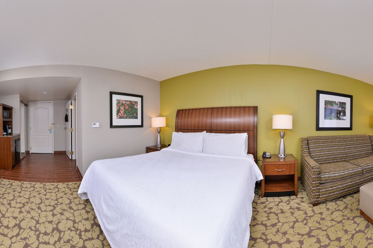 A hotel room with a bed, a desk, a chair, a TV, a sofa, and a bathroom.
