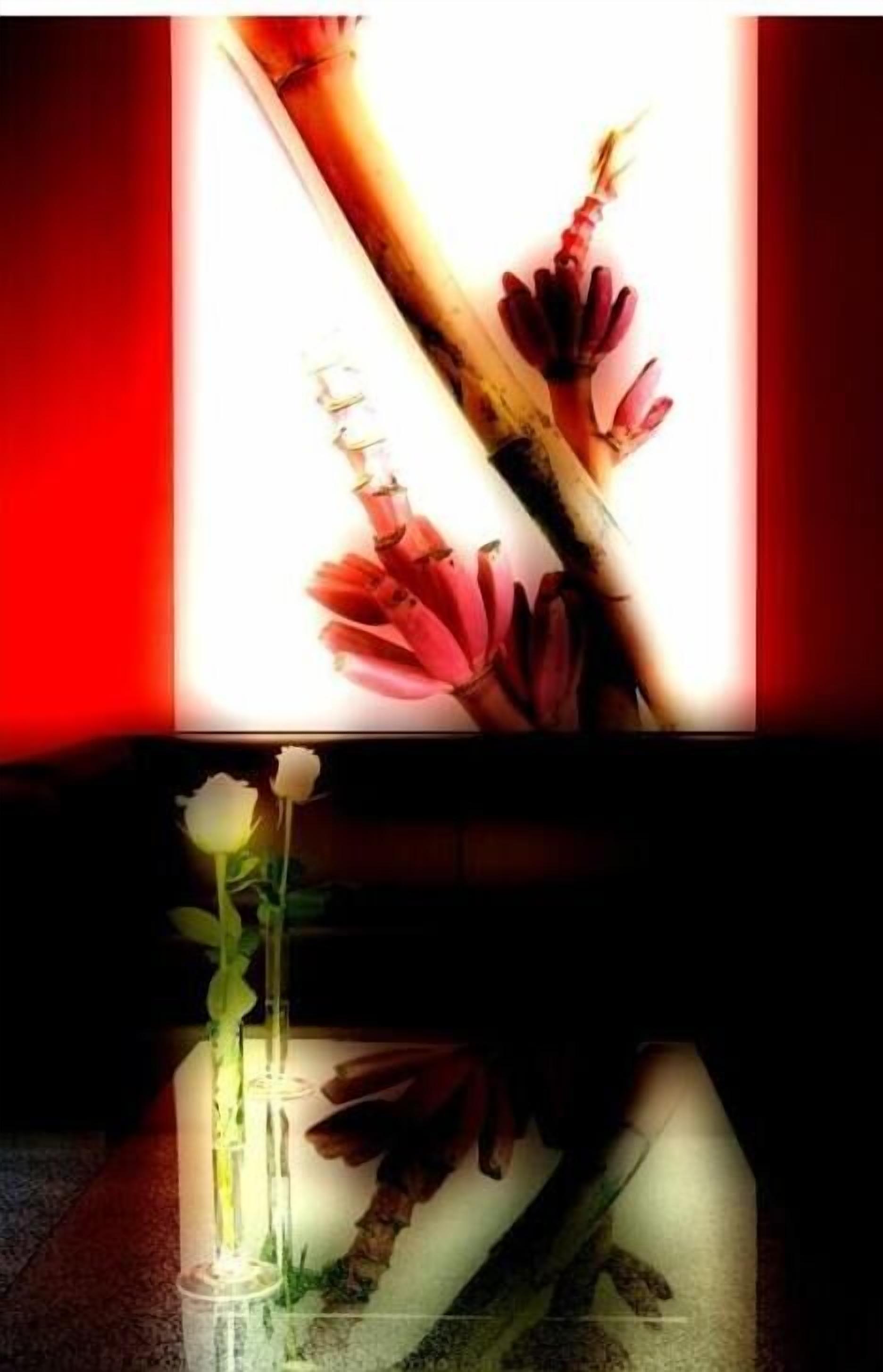 Photo - Executive Hotel