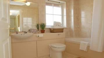Combined shower/bathtub, hair dryer