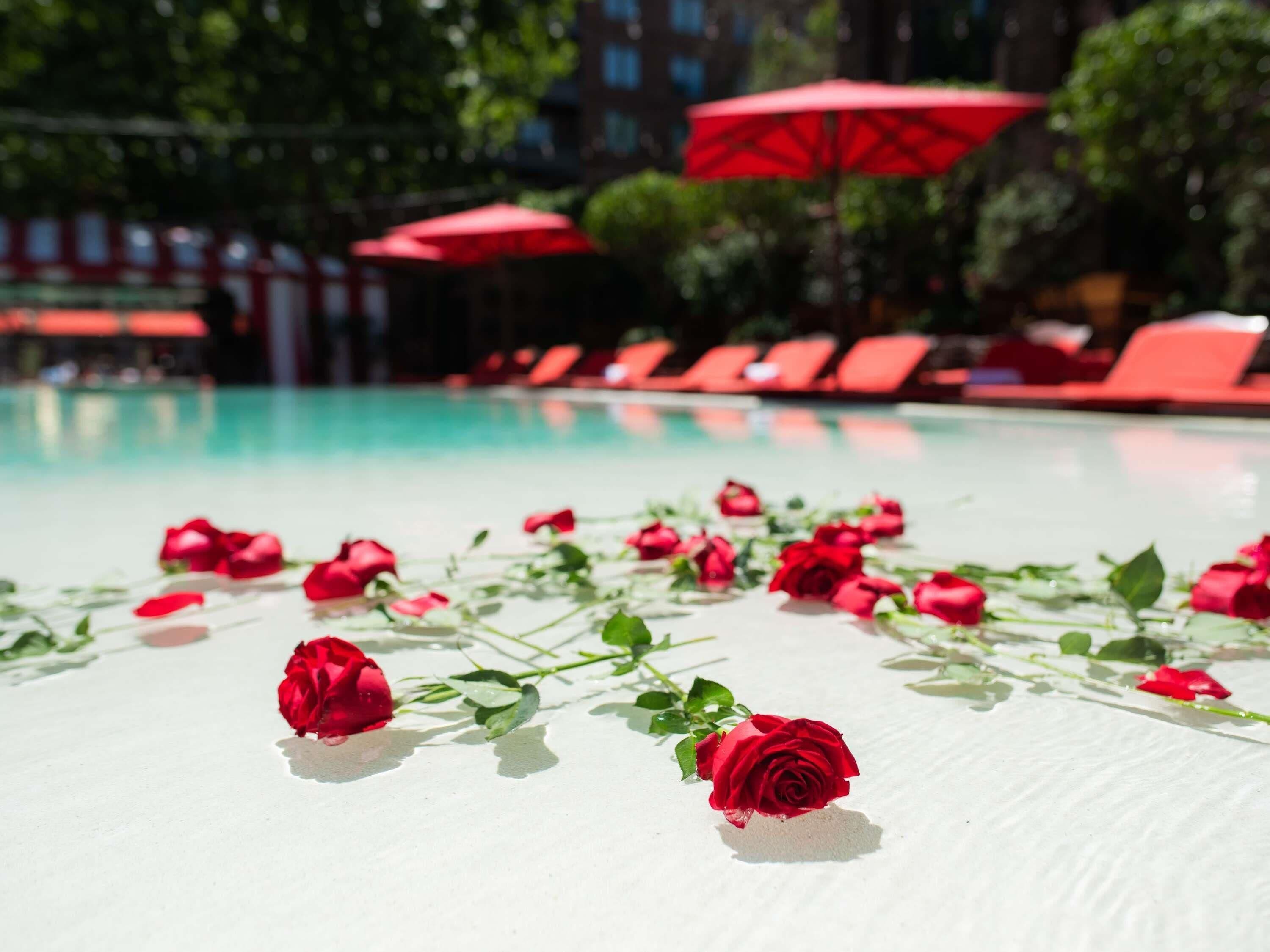 A pool area with red umbrellas and lounge chairs.