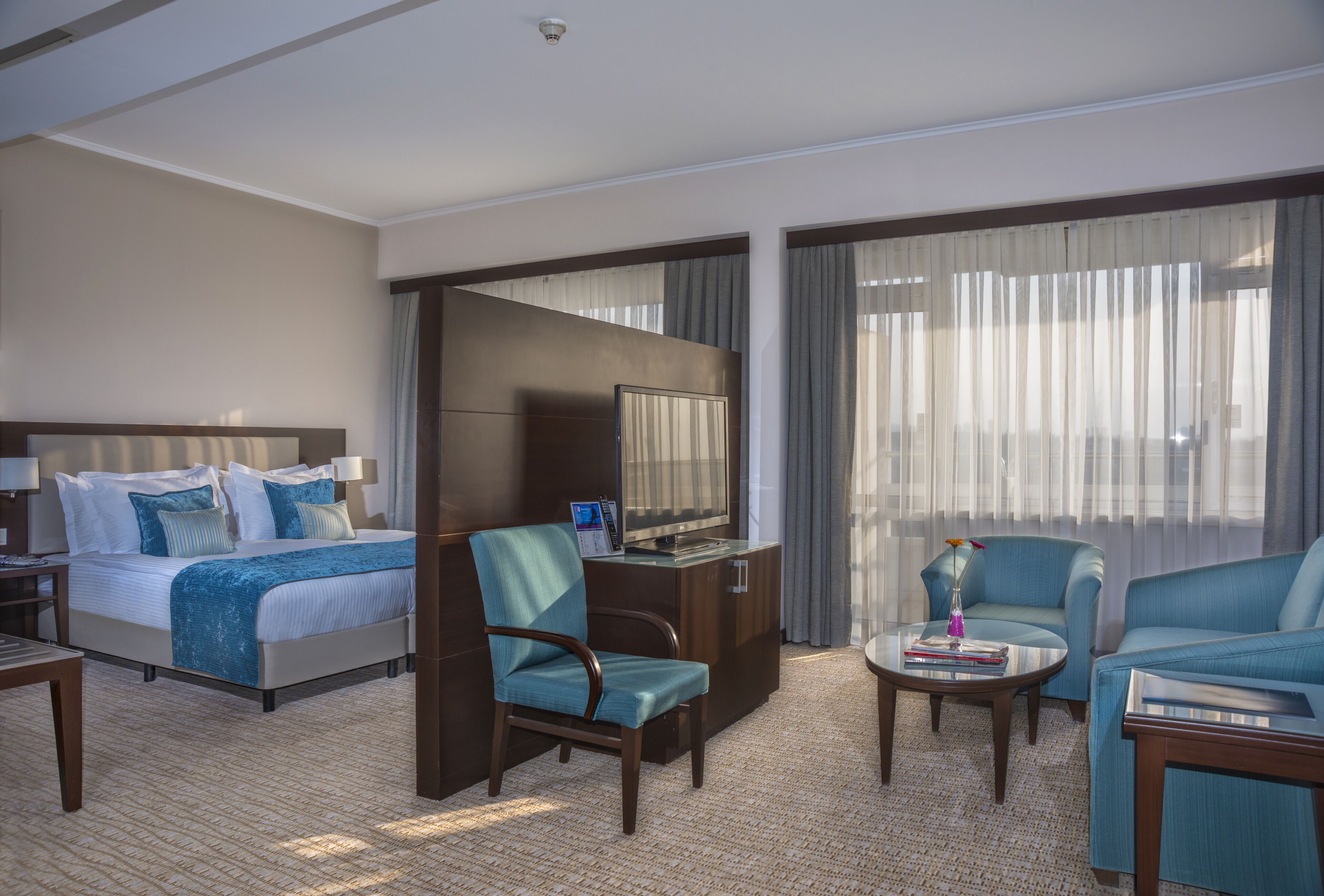 A hotel room with a bed, a desk, a TV, a chair, a sofa, and large windows with curtains.