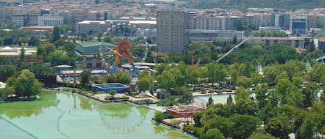 A park with a Ferris wheel, a pool, and surrounding buildings.