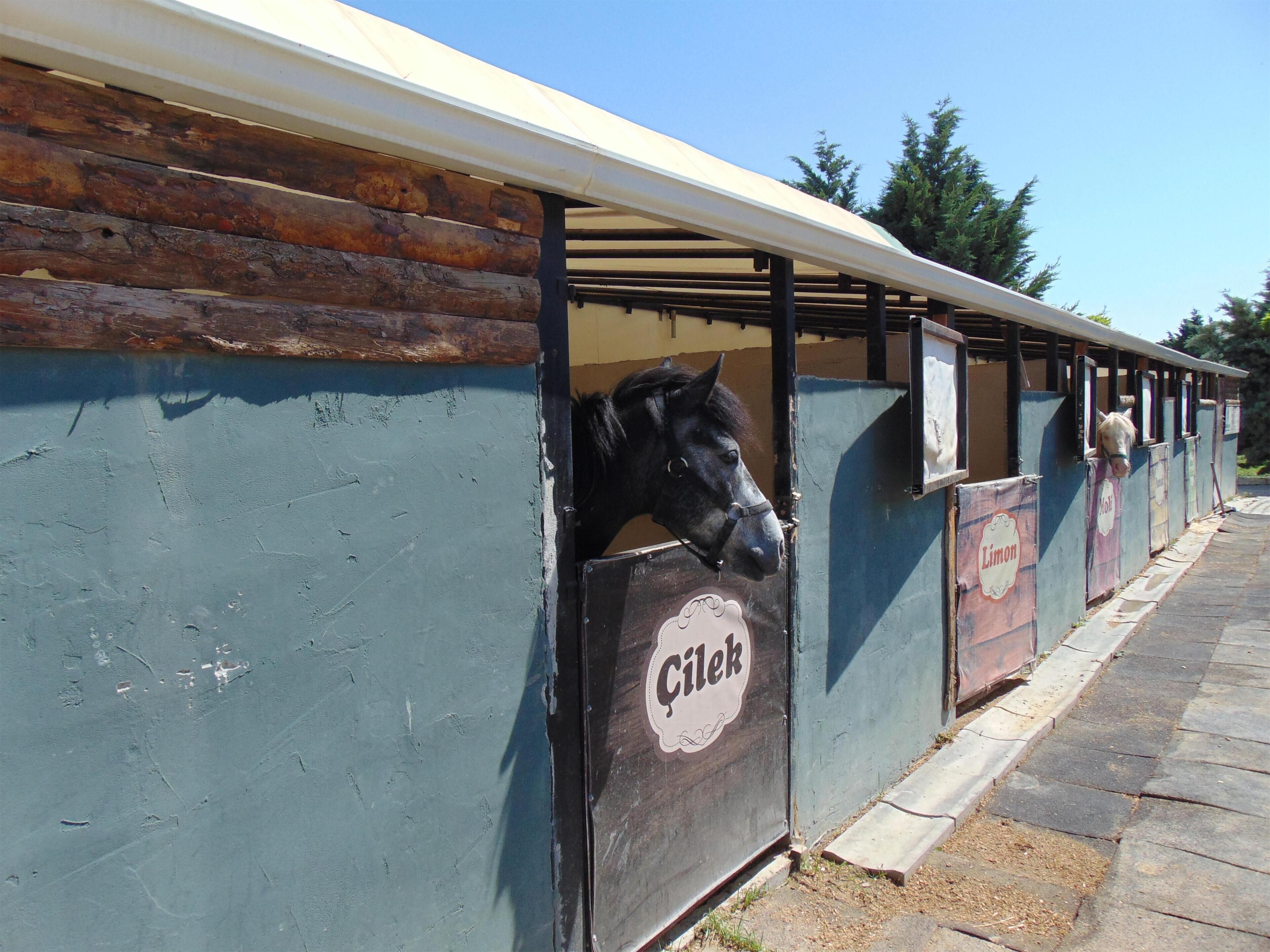 A stable with horses, each stall marked with a name.