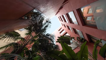 Aula