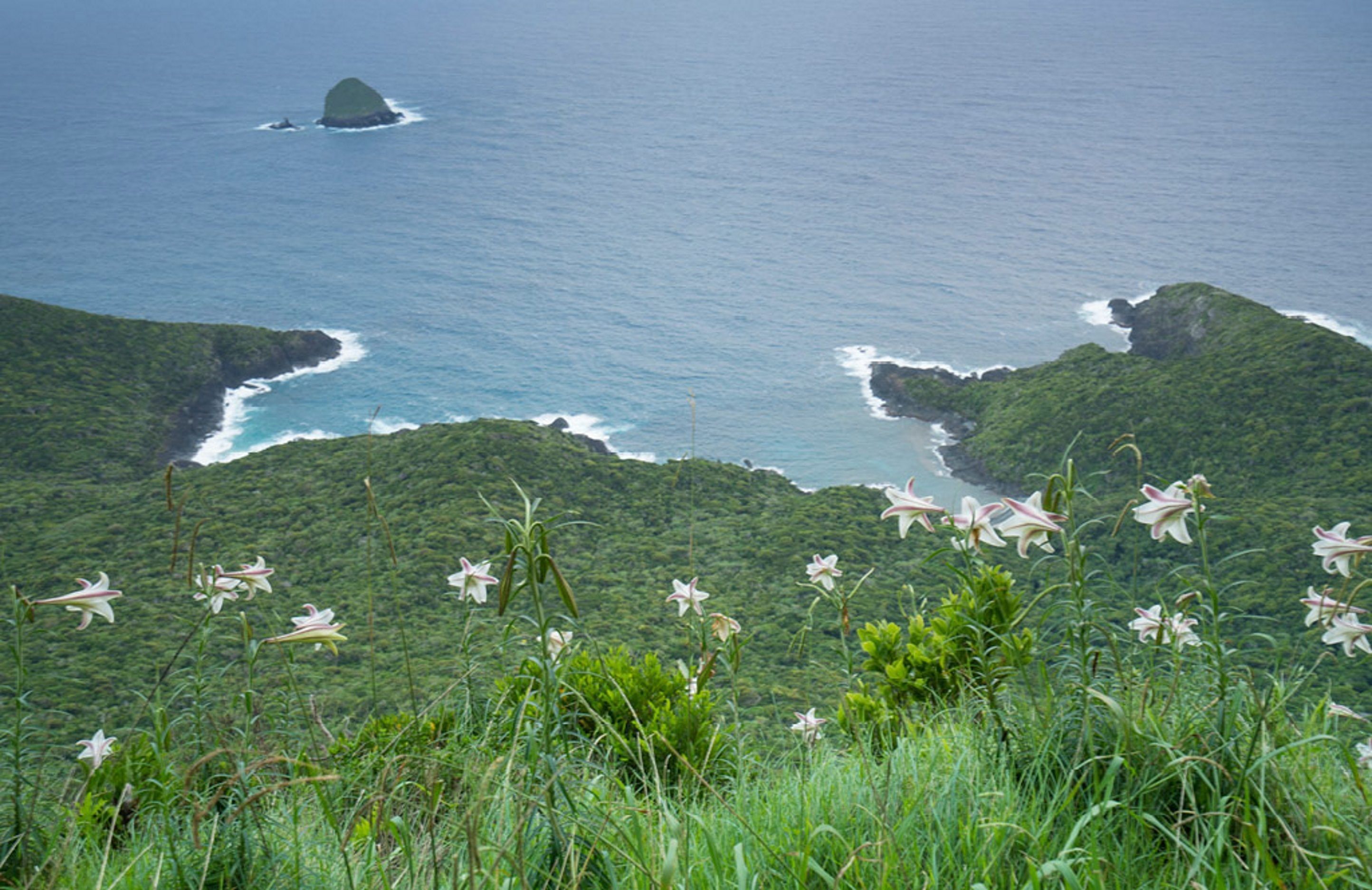 beach nearby, white sand, beach umbrellas, beach towels