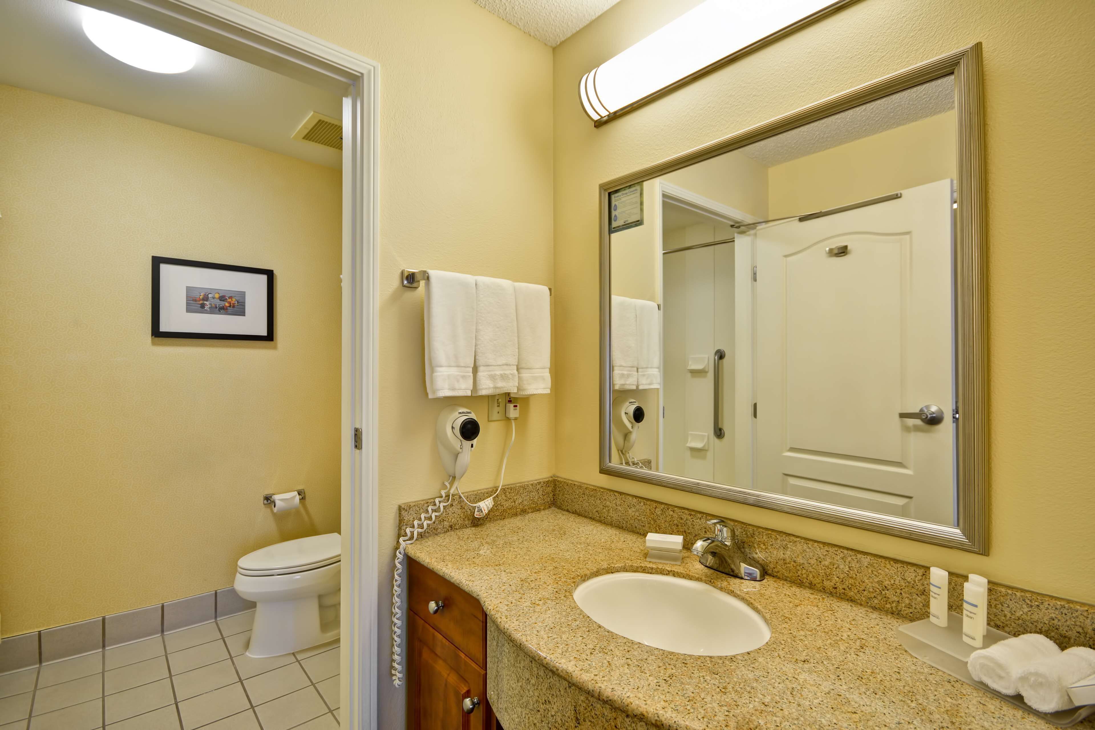 Une salle de bain avec un lavabo, un miroir et des toilettes.