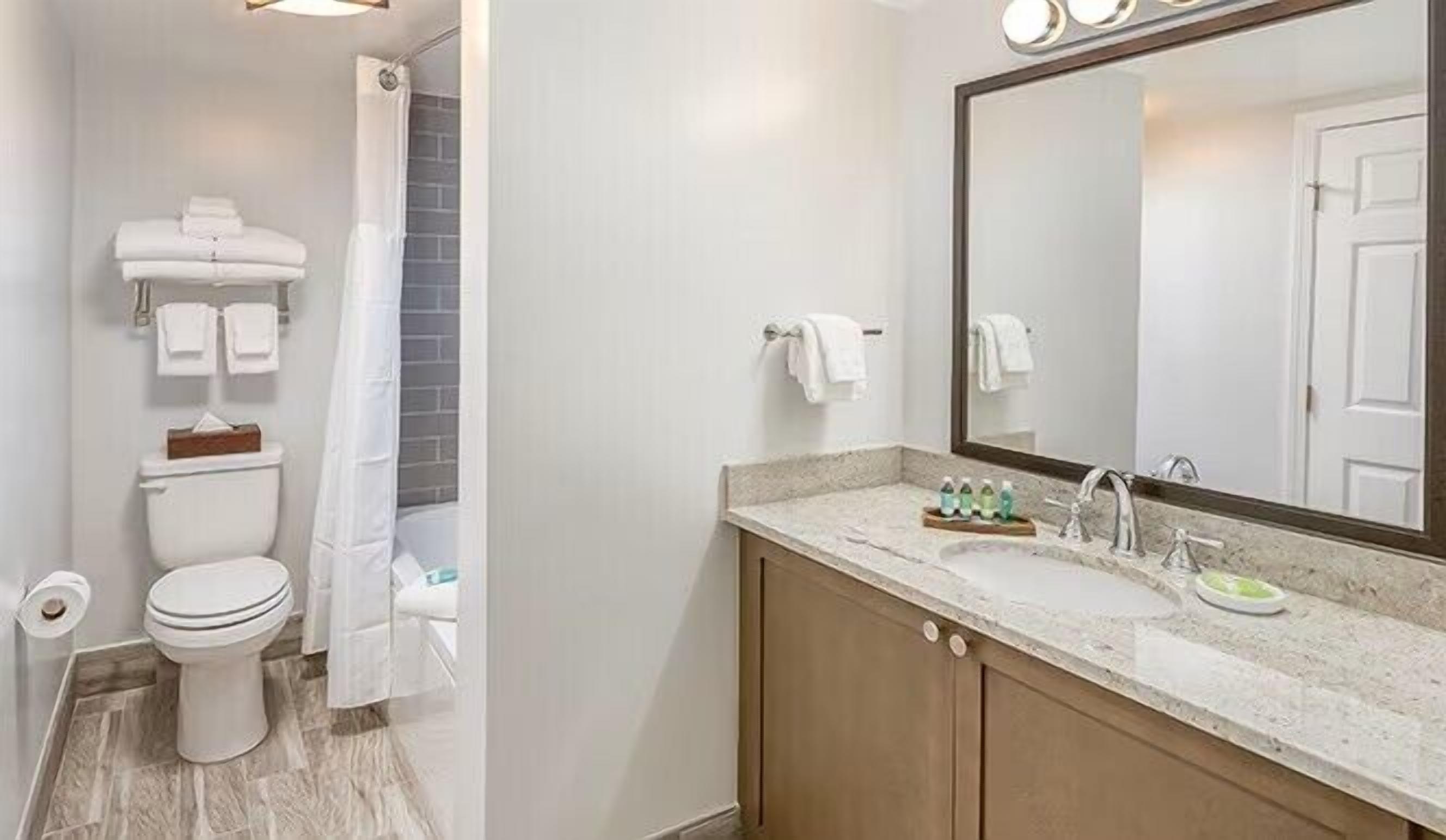 standard room, 1 bedroom | bathroom | hair dryer, towels