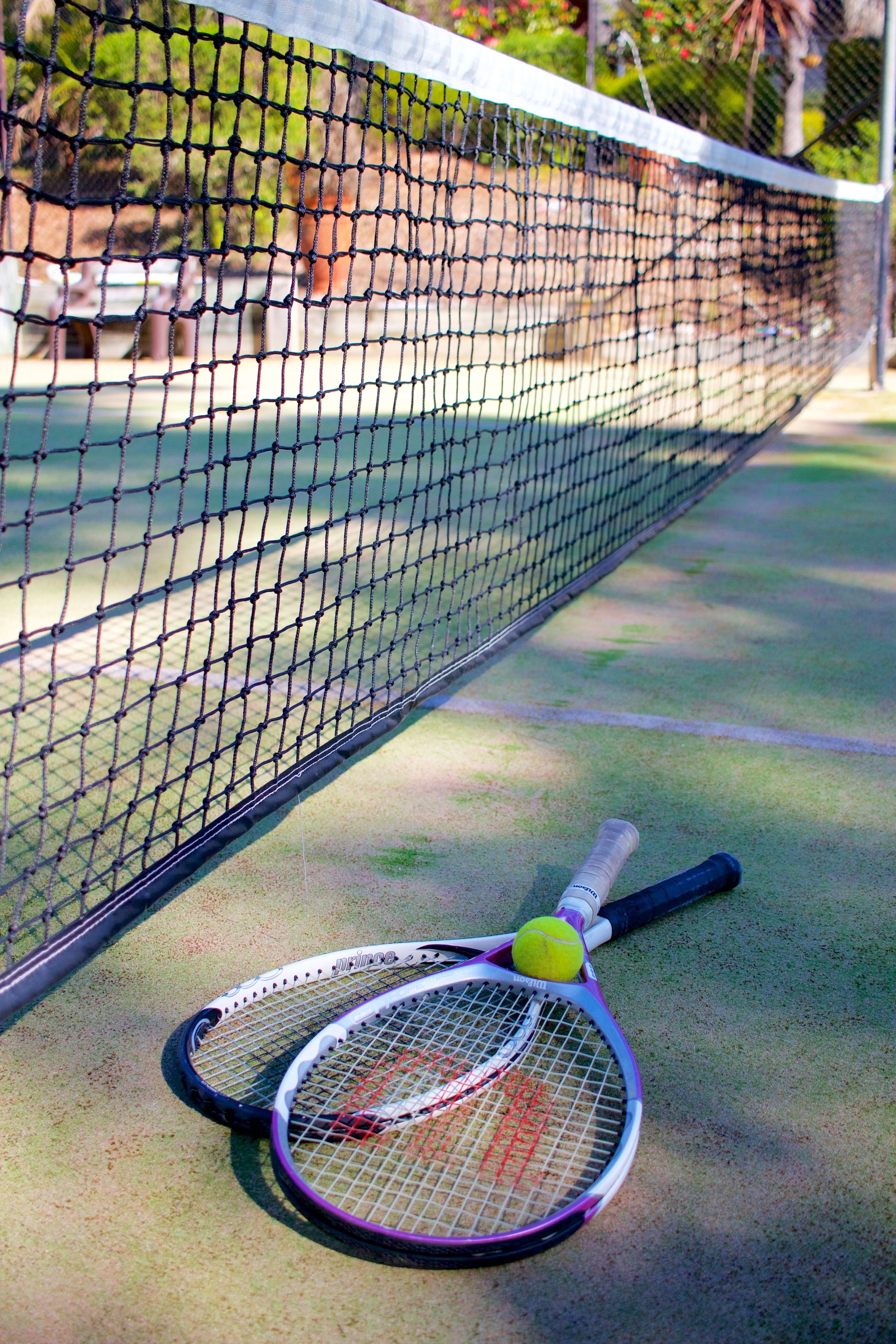 Un court de tennis avec un filet, deux raquettes de tennis et une balle de tennis.