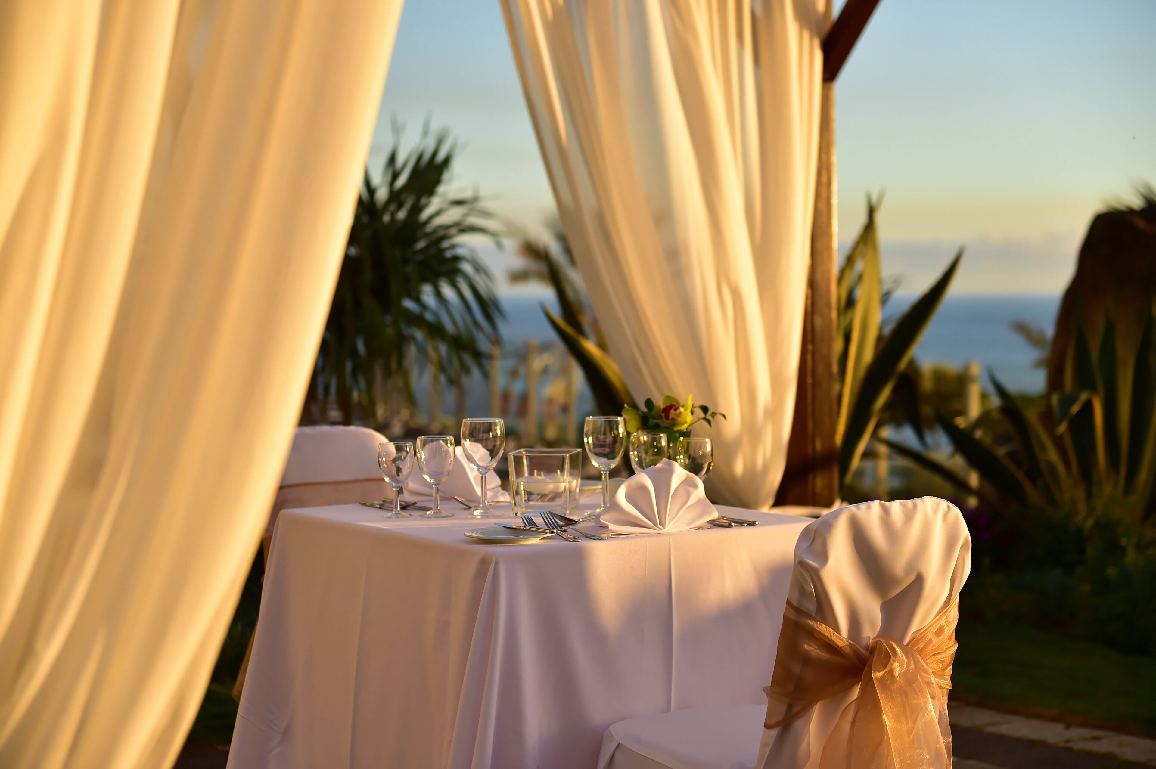 Mesa lista para una comida con vista al océano y palmeras.