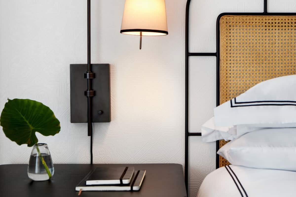 A neatly arranged hotel room with a bed, bedside table, lamp, and a potted plant.